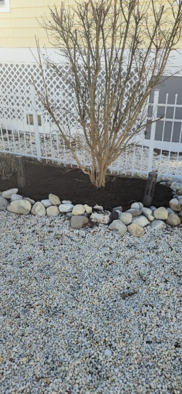 Sandoval Brothers Services LLC